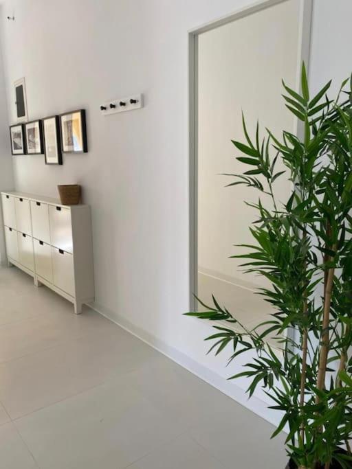 The Palm Apartment Karpathos Экстерьер фото